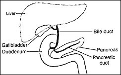 Pancreatitis