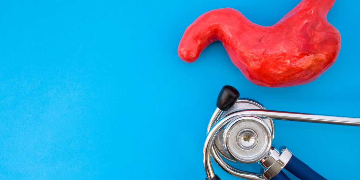 Anatomic study model of stomach or gastric and stethoscope on blue background occupy half of photo, in second half - empty space for titles. Medical concept photo for use in gastroenterology, surgery