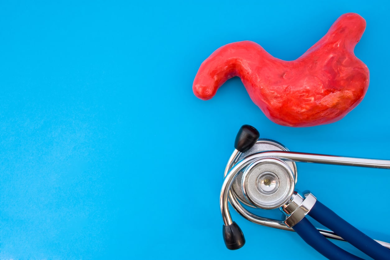 Anatomic study model of stomach or gastric and stethoscope on blue background occupy half of photo, in second half - empty space for titles. Medical concept photo for use in gastroenterology, surgery