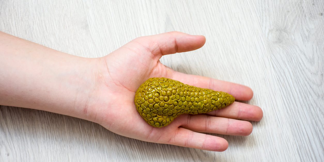 In palm of hand lying on wooden floor, is anatomical model of pancreas gland. Concept photo depicting pancreas illness such as cancer as cause of death, organ donation after death of patient